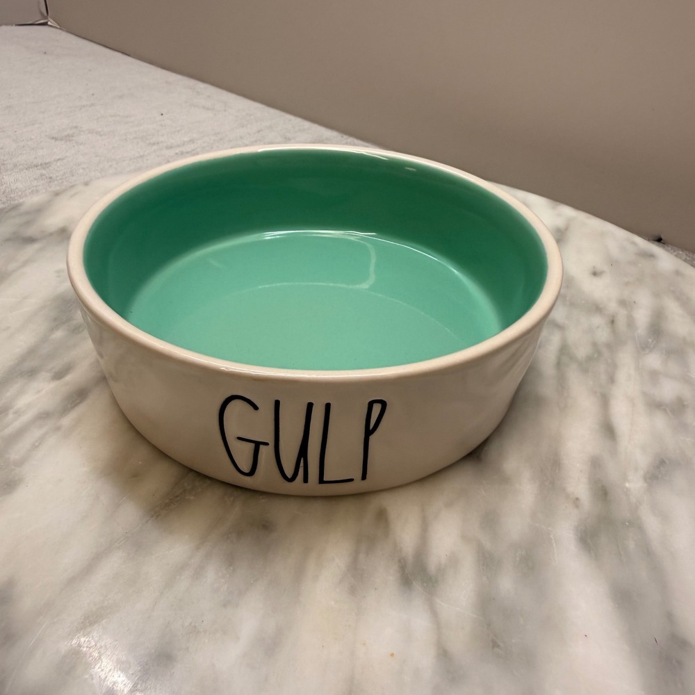 Rae Dunn GULP Pet Bowl Ceramic Mint Green Interior Dog Cat Dish Magenta Artisan
